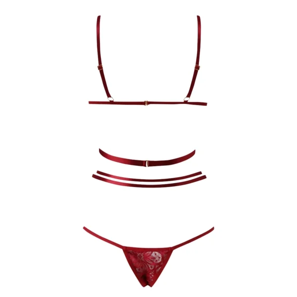 Sexy Lace Lingerie Set Red* - Image 5